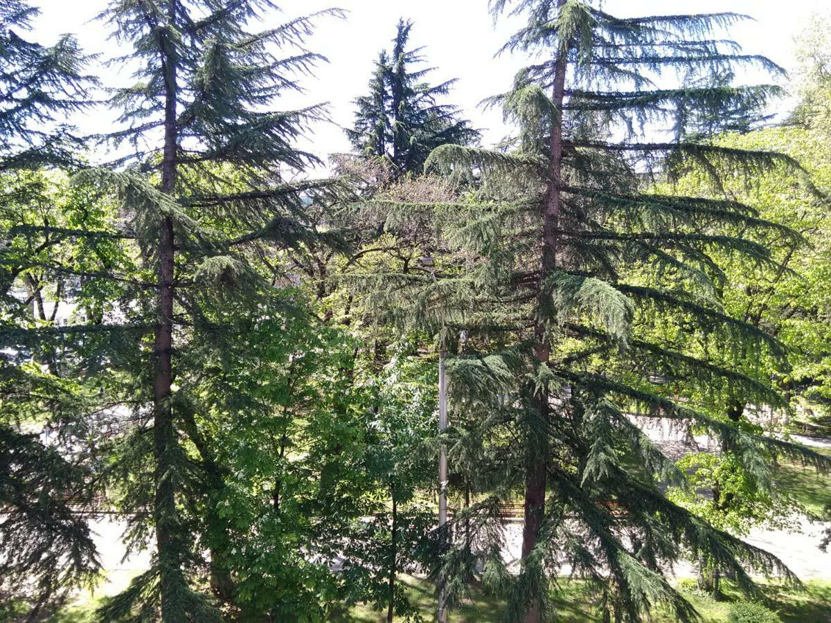 35 Paliashvili Kutaisi Dış mekan fotoğraf